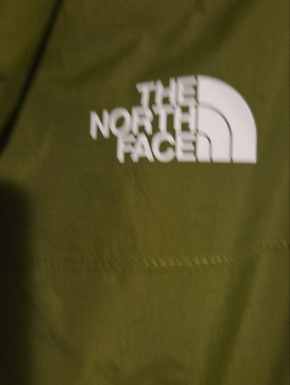 The North Face Olive Utility Hooded Jacket - Picture 8 of 15
